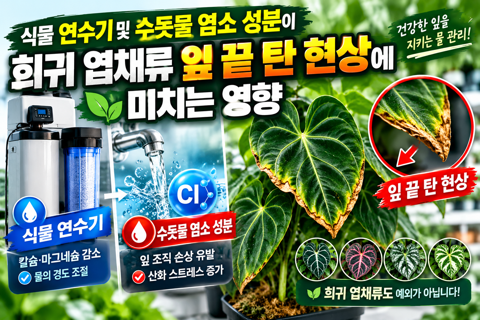 식물연수기 및 수돗물염소성분에 대한 썸네일