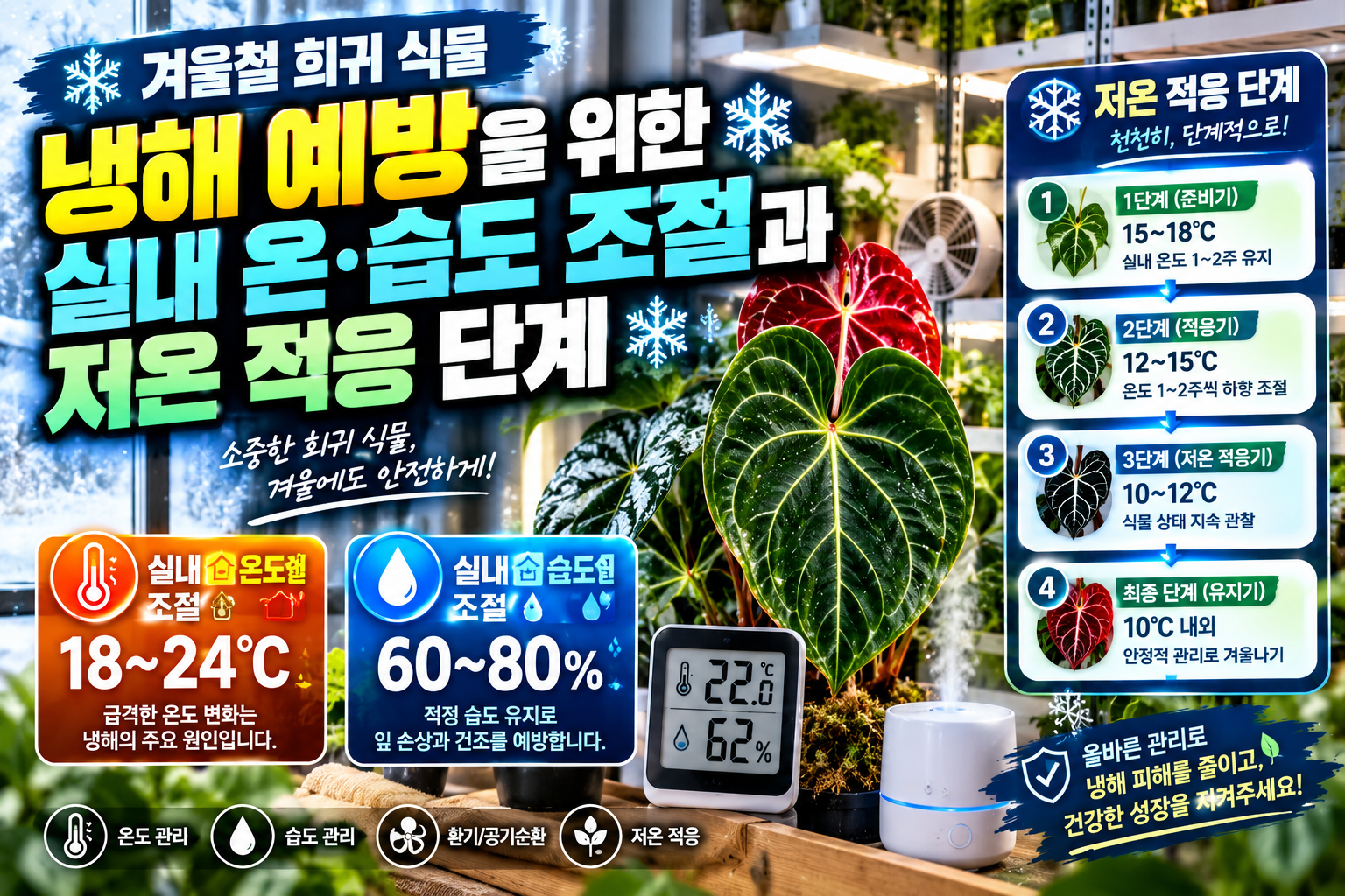 겨울철 희귀식물에 대한 썸네일