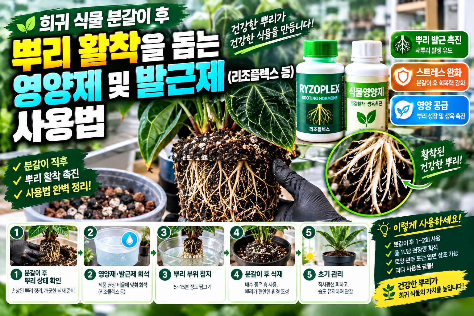 뿌리활착을 돕는 영양제와 발근제에 대한 썸네일