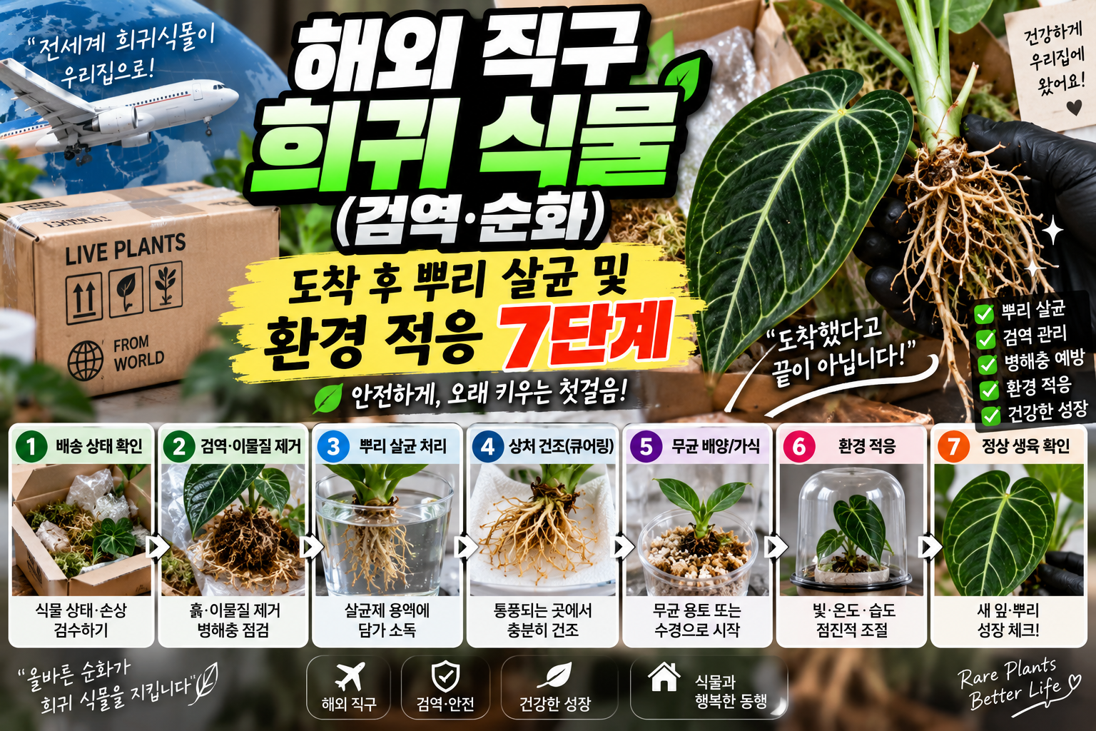 해외직구 희귀식물 7단계 순화 가이드에 대한 썸네일