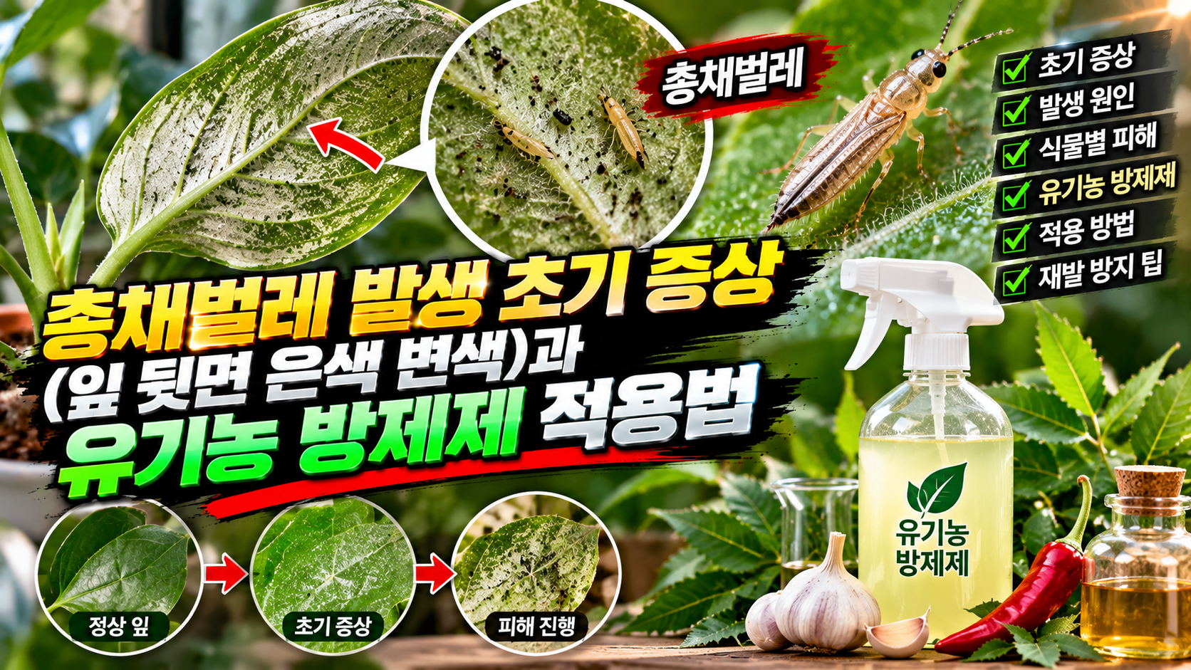 총채벌레 발생 초기 증상에 대한 썸네일